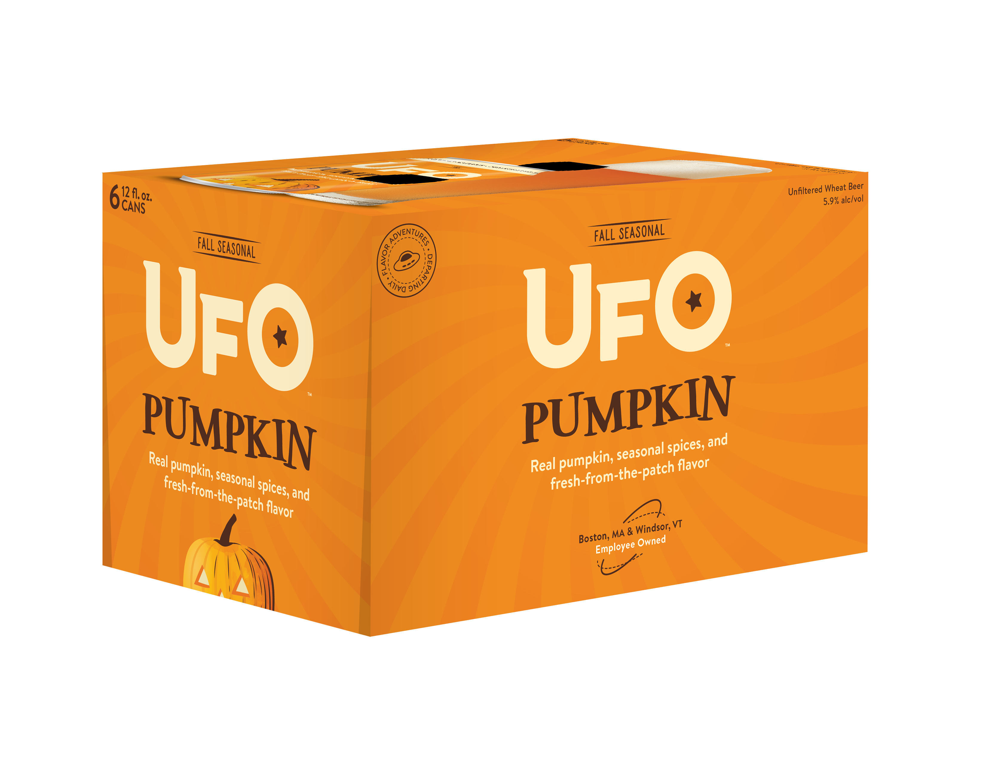 UFO Pumpkin 6 pack